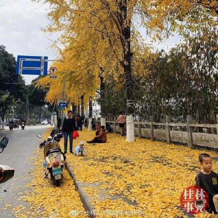 桂林市哪里还能看见雪啊