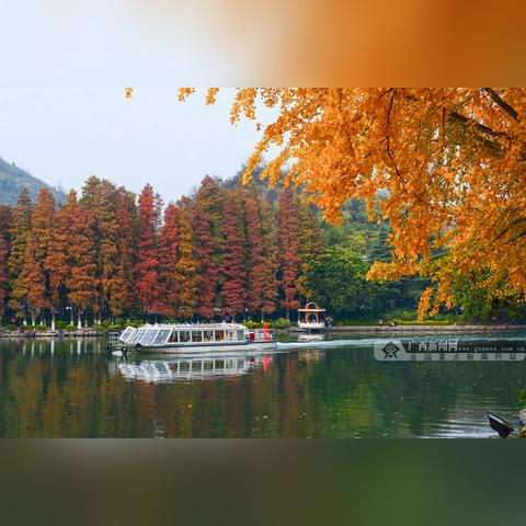 桂林市哪里有花看