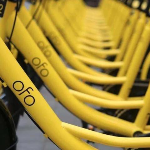 海外电商割韭菜 相关的长尾关键词有哪些 