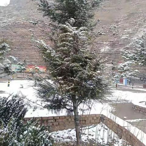 邢台县天气预报15天的长尾关键词有哪些