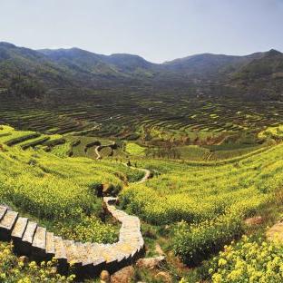 星期九生态农庄宁波的相关长尾关键词有哪些