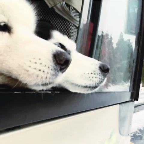 衡山景区天气预报的长尾关键词有什么