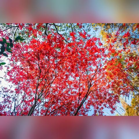 去桂林听的歌曲大全相关长尾关键词有哪些