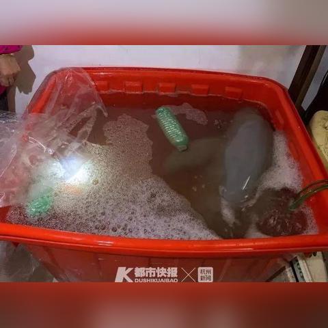 温州市哪里有摊位出租