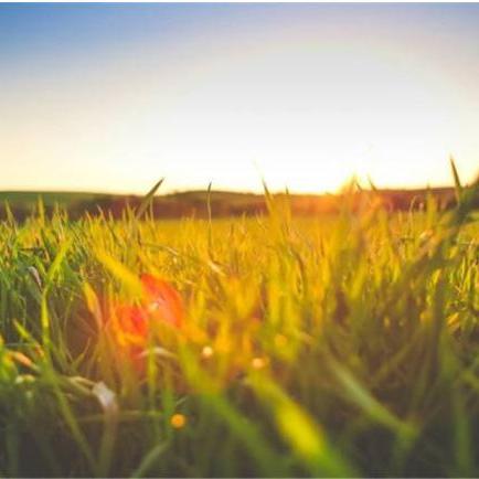 厦门网上人事代理的相关长尾关键词有哪些