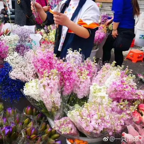 广州市有多少时间表