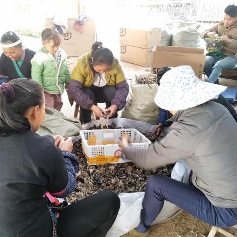 皇岗村是深圳市什么区