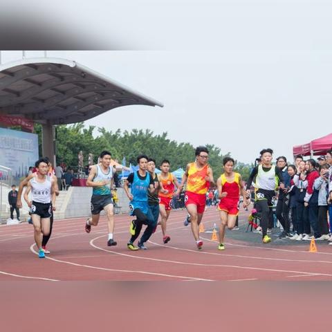 广州市什么学校最好的