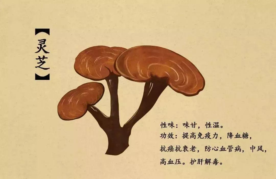 食品与机械毕业论文怎么写食品科学与工程专业需要电脑吗