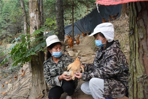 31省市最新返乡政策
 /31省市最新返乡政策一览