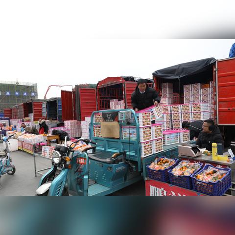 临沂市水果工厂在哪里