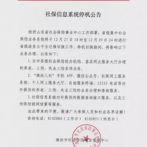 潍坊市怎么查询社保明细