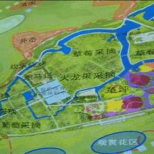 温州市乐清市草莓蛋糕的长尾关键词有什么