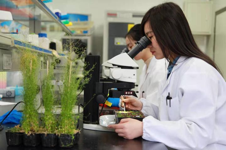 创新科技科学论文科技创新成果报告和论文写法上的区别