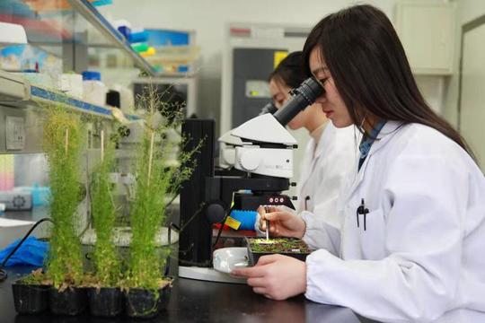 有创业成果就可免写毕业论文，浙江农林大学还用百万现金重奖本科生科研创新