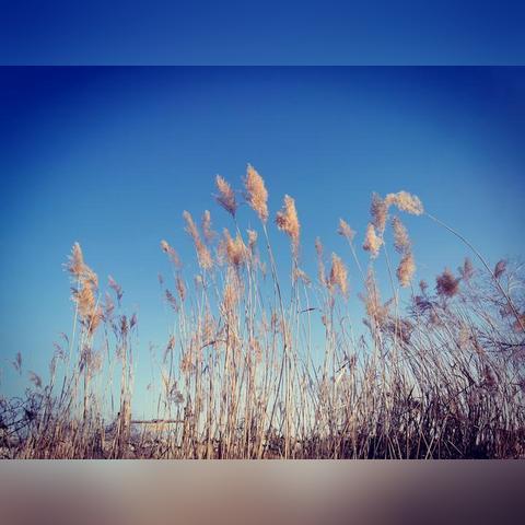 南通市哪里能办护照