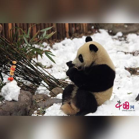 成都市圣诞节哪里好玩