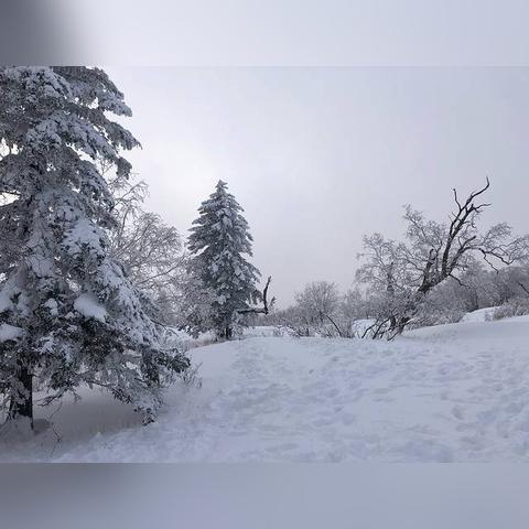 哈尔滨室外滑雪场相关长尾关键词有哪些