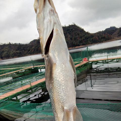 合肥幸达相关长尾关键词有哪些