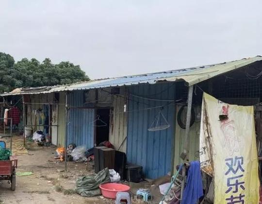 一违法废品收购站，涉嫌非法侵占农用地，面临立案查处