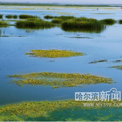 哈尔滨市哈东在哪个区