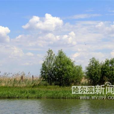 哈尔滨市哈东算哪个区