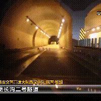 【西安今日生猪价格】2025年7月2日西安生猪价格是多少