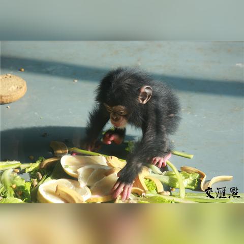 无锡市哪里孕检便宜点啊