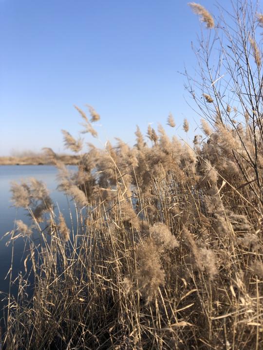 渐行渐远渐年终，水阔鱼沉无影踪