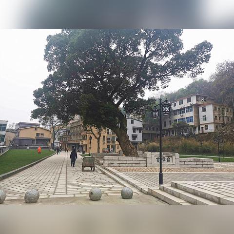 长沙市哪个地方最杂