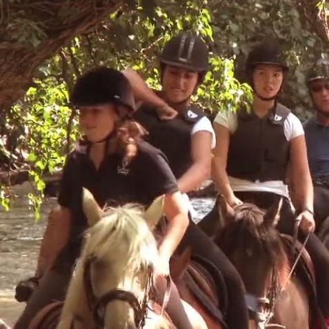 哈尔滨人和健身私教相关长尾关键词有哪些