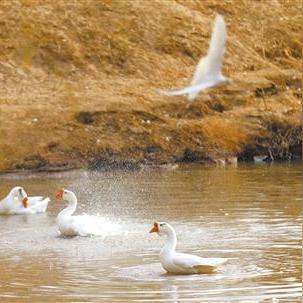 兰州市哪里学中国舞