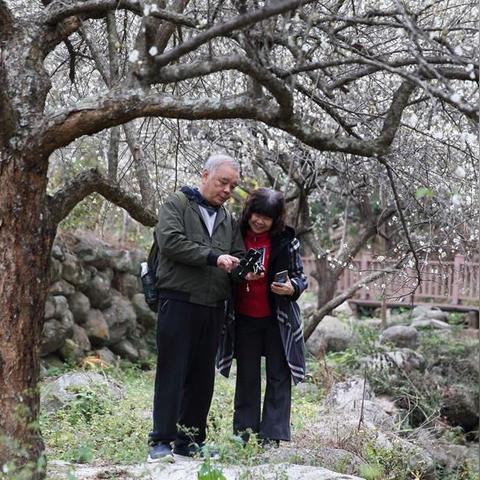 陈平名山风景区门票？