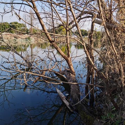 济南市中区钓鱼池在哪里