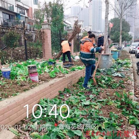 武汉市东西湖黄狮海学校怎么样呀