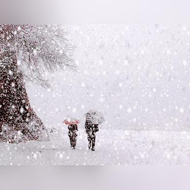 合肥天气全年相关长尾关键词有哪些