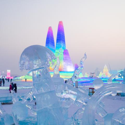 哈尔滨罗斯的图片相关长尾关键词有哪些