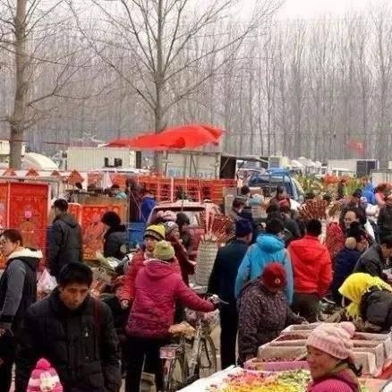 济南城市特色？