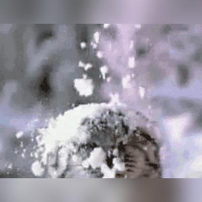 【大风冰雹预警天津】长尾关键词有什么