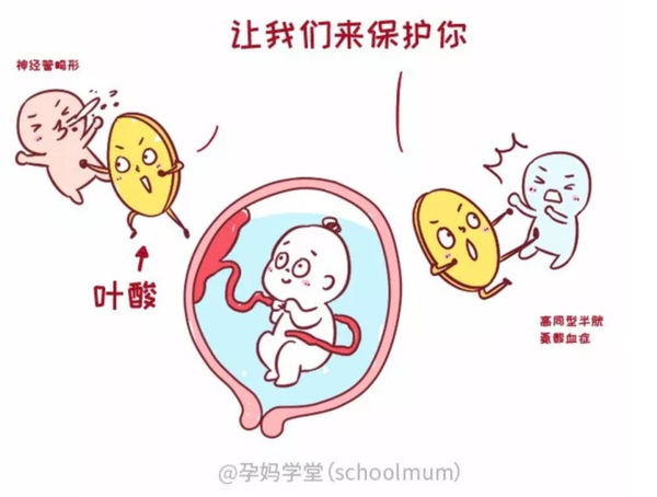 孕期叶酸怎么吃才正确