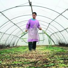 桂林哪个酒店有小妹相关长尾关键词有哪些