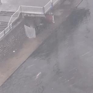 济南到聊城的火车时刻表相关长尾关键词有哪些