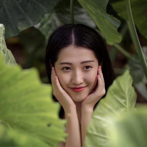 厦门市上李的相关长尾关键词有哪些