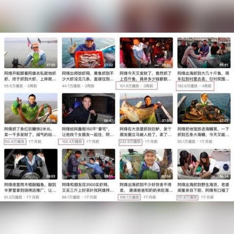 福建赶海和青岛赶海哪个好玩？