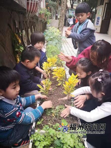 网络送花服务,168鲜花速递靠谱吗?