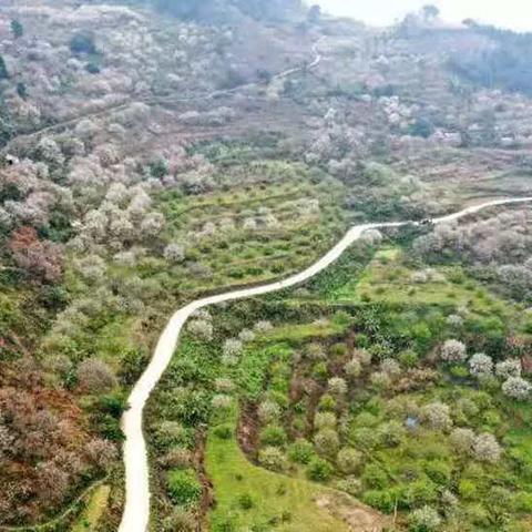 大新15日天气预报的长尾关键词有什么