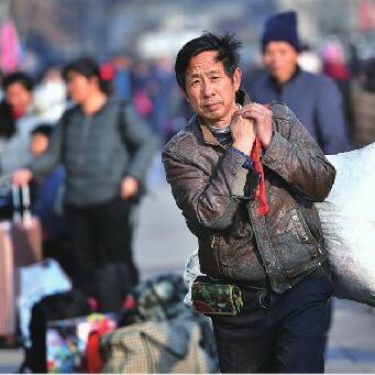 济南市区一共多少万人