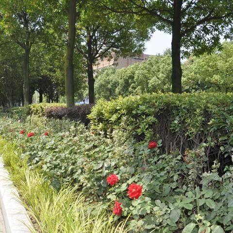 宁波市启运路是哪个区