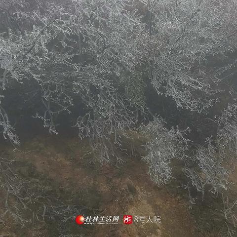 今天桂林市哪里雪最大