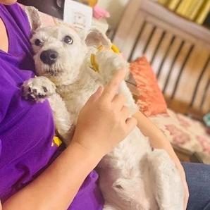 qq飞车骑宠大全的长尾关键词有哪些